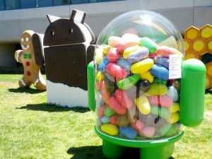 Android Jelly Bean Mascot Google HQ