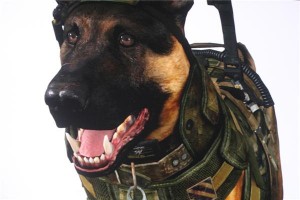 cod ghosts dog