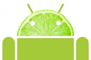 android key lime pie