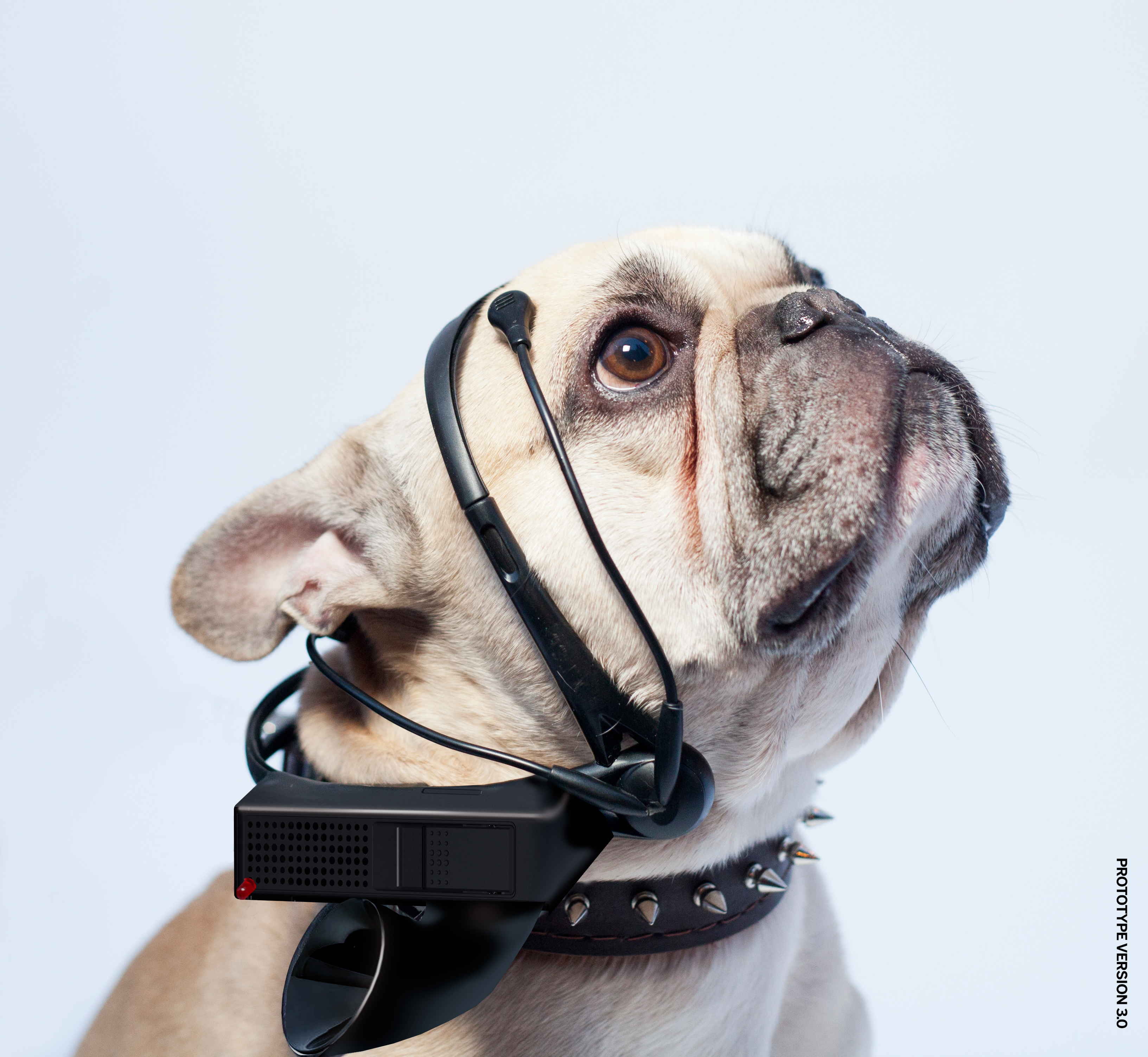 No More Woof – hear your dog’s words and thoughts